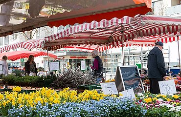 Marktstand mit Frühlingsblumen